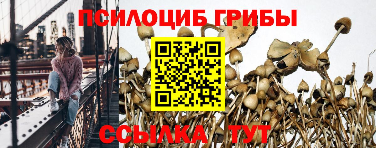 Галлюциногенные грибы MAGIC MUSHROOMS Лабинск